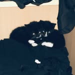 Olly Miller - @ollylol984 - Instagram