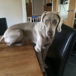 Olly Miller - @miller_olly - Instagram