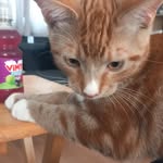 ollymiller - @ollymiller7 - Instagram