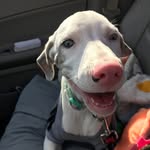 Olly Moore - @ollythinks - Instagram