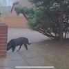 ollyowenn - @ollyowenn - TikTok