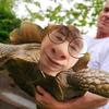 Ollie Powell - @pollyowl - TikTok