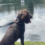 Olly Powell - Facebook