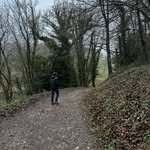 Olly randall - @randall_olly - Instagram