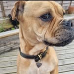 Olly Richards - @ollyrich120 - Instagram