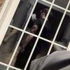 olly_sharp - @olly_sharp1 - TikTok