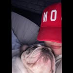 Olly - @ollyspencer01 - Instagram