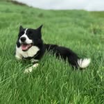 Olly Stone - @whenimanywhereelse - Instagram
