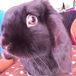 Oliver - @olly_wally321 - Instagram
