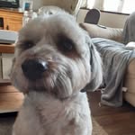 Olly Wall - @olly_wall08 - Instagram