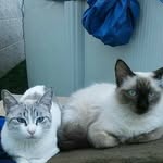 Pilar Olmo López - @olmolopezpilar - Instagram