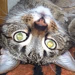 Olney - @olneykingsbury8 - Instagram