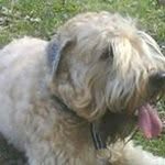Pierre Olsen - @pierre.olsen - Instagram