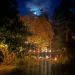 Winter Creek Farm, Olympia WA Johnson Point - @wintercreek_farm - Instagram