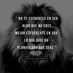 Omar Abarca - @omar.abarca.754 - Instagram