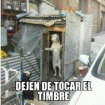 Omar - @omar_abarca - Instagram