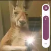 Omar Acuña - @user8493713638141 - TikTok