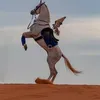 omar Alomar - @omaralomar555 - TikTok