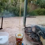 Omar Alouani - @omar.alouani.50 - Instagram