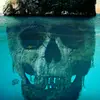 omaralouani59 - @zertox658 - TikTok