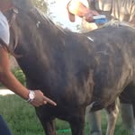 @omar_araiza7 - Instagram