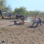 Omar Araiza - @araiza6990 - Instagram