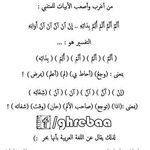 Omar Ashkar - @omar.ashkar.961 - Instagram