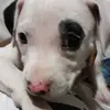 omarashley2629 - @ashleyomar2629 - TikTok