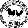 Omar Avilés - @omar.aviles23 - TikTok