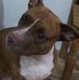 Omar Baeza - Facebook