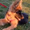 Omar Barrientos - @omar.barrientos71 - TikTok