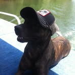 Omar Bates - Facebook