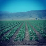 omar baza - @omar_baza831 - Instagram