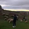 Omar Bazán Tavara - @omarbazan41 - TikTok