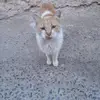 Omar Beach - @omar.beach1 - TikTok