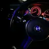 겨울 장미 - @withomarsbeard - TikTok