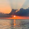 omar_becker_ - @_omar_becker_ - TikTok