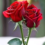 Omar Beker - Facebook