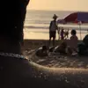 Omar Ben - @omarben399 - TikTok