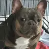 omarbermejo471 - @omarbermejo471 - TikTok
