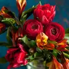 Omar790@@ - @omarberry_ - TikTok