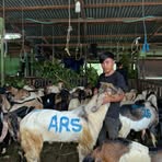 Omar Bin - Facebook
