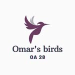 طيور عمر - @omar_bird_s - Instagram