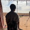 omar_bird - @omar_bird - TikTok