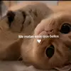 Omar Blandon - @omar.blandon58 - TikTok