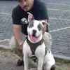 Omar Borja - @omar.borja14 - TikTok