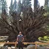 Omar Borja - @omarborja71 - TikTok