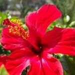 Omar Borja - @omar.borja.982 - Instagram