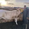 omarbouchere - @omarerhabouki - TikTok