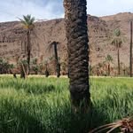@_omar_bouhouch_ - Instagram